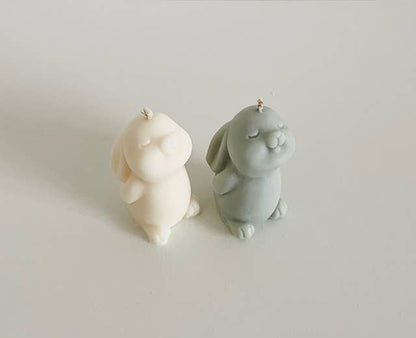 Chaud Lapin